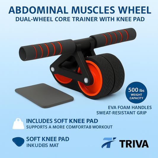 Roue d'entraînement pour les muscles abdominaux 
